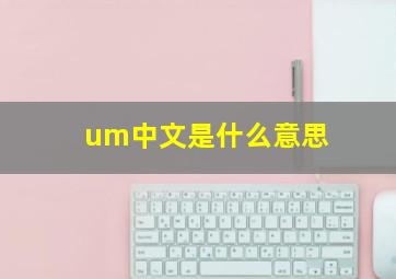 um中文是什么意思