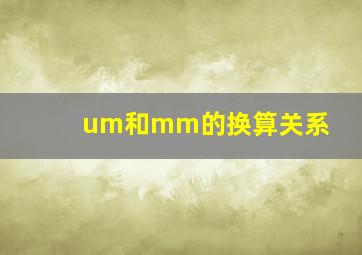 um和mm的换算关系