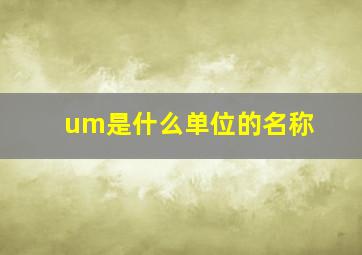 um是什么单位的名称