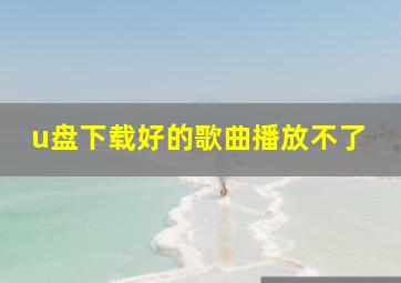 u盘下载好的歌曲播放不了