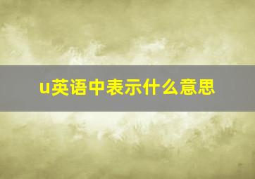 u英语中表示什么意思