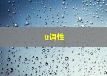 u词性