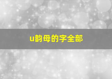 u韵母的字全部