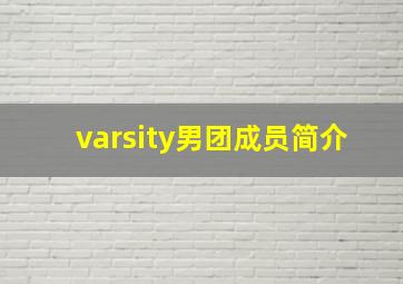 varsity男团成员简介