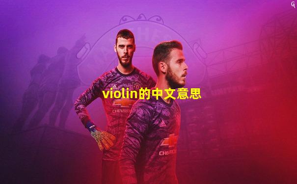 violin的中文意思