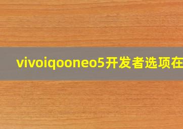 vivoiqooneo5开发者选项在哪