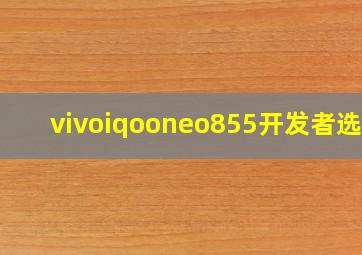 vivoiqooneo855开发者选项