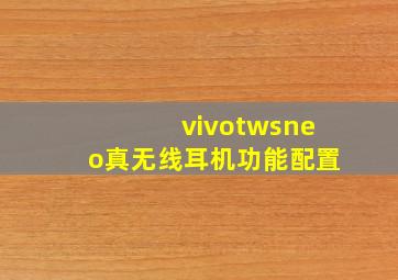 vivotwsneo真无线耳机功能配置