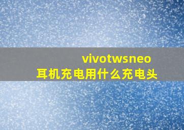 vivotwsneo耳机充电用什么充电头