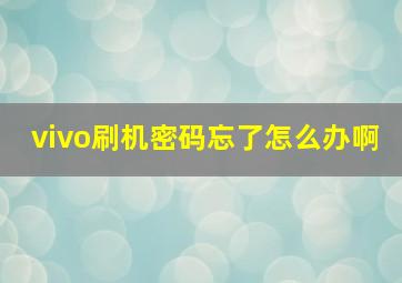 vivo刷机密码忘了怎么办啊