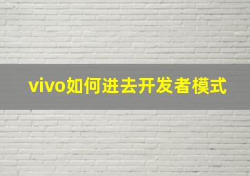 vivo如何进去开发者模式