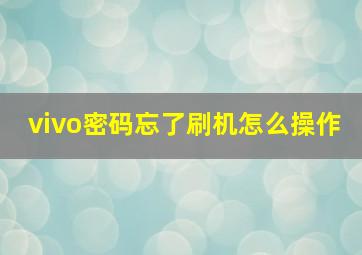 vivo密码忘了刷机怎么操作