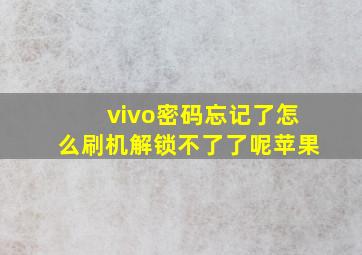 vivo密码忘记了怎么刷机解锁不了了呢苹果