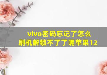 vivo密码忘记了怎么刷机解锁不了了呢苹果12