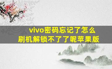 vivo密码忘记了怎么刷机解锁不了了呢苹果版