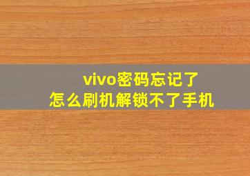 vivo密码忘记了怎么刷机解锁不了手机