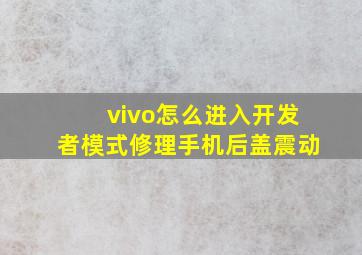 vivo怎么进入开发者模式修理手机后盖震动