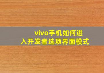 vivo手机如何进入开发者选项界面模式