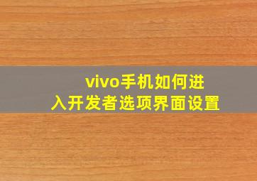 vivo手机如何进入开发者选项界面设置