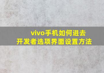 vivo手机如何进去开发者选项界面设置方法