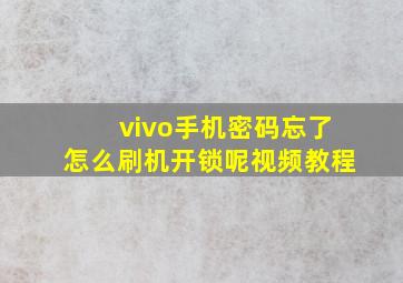 vivo手机密码忘了怎么刷机开锁呢视频教程