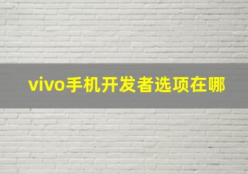 vivo手机开发者选项在哪