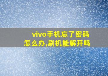 vivo手机忘了密码怎么办,刷机能解开吗