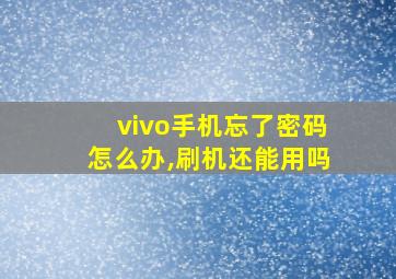 vivo手机忘了密码怎么办,刷机还能用吗