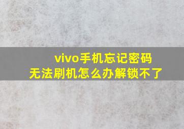 vivo手机忘记密码无法刷机怎么办解锁不了