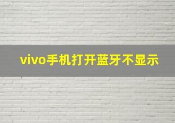 vivo手机打开蓝牙不显示