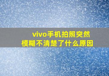 vivo手机拍照突然模糊不清楚了什么原因