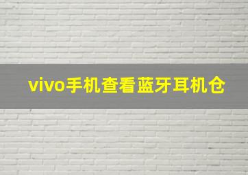 vivo手机查看蓝牙耳机仓