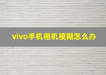 vivo手机相机模糊怎么办