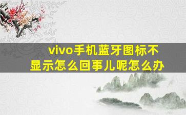 vivo手机蓝牙图标不显示怎么回事儿呢怎么办