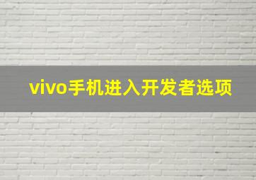 vivo手机进入开发者选项