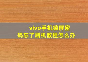 vivo手机锁屏密码忘了刷机教程怎么办