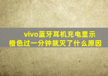 vivo蓝牙耳机充电显示橙色过一分钟就灭了什么原因