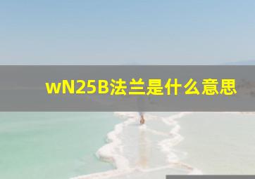 wN25B法兰是什么意思