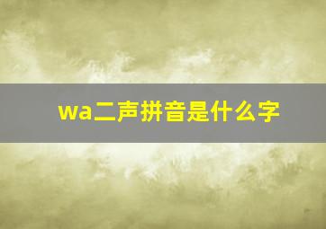 wa二声拼音是什么字