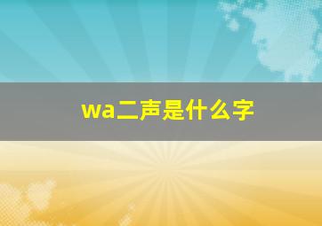 wa二声是什么字