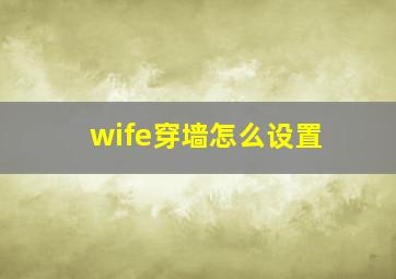 wife穿墙怎么设置