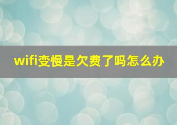 wifi变慢是欠费了吗怎么办