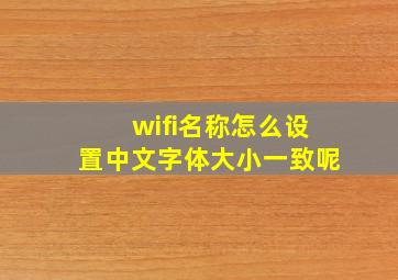 wifi名称怎么设置中文字体大小一致呢