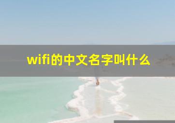 wifi的中文名字叫什么