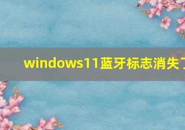 windows11蓝牙标志消失了