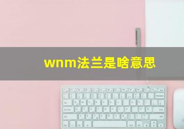 wnm法兰是啥意思