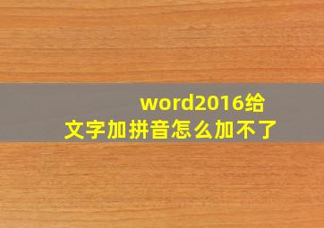 word2016给文字加拼音怎么加不了