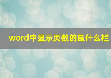 word中显示页数的是什么栏