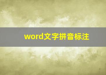 word文字拼音标注