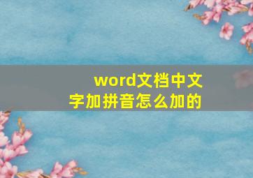 word文档中文字加拼音怎么加的